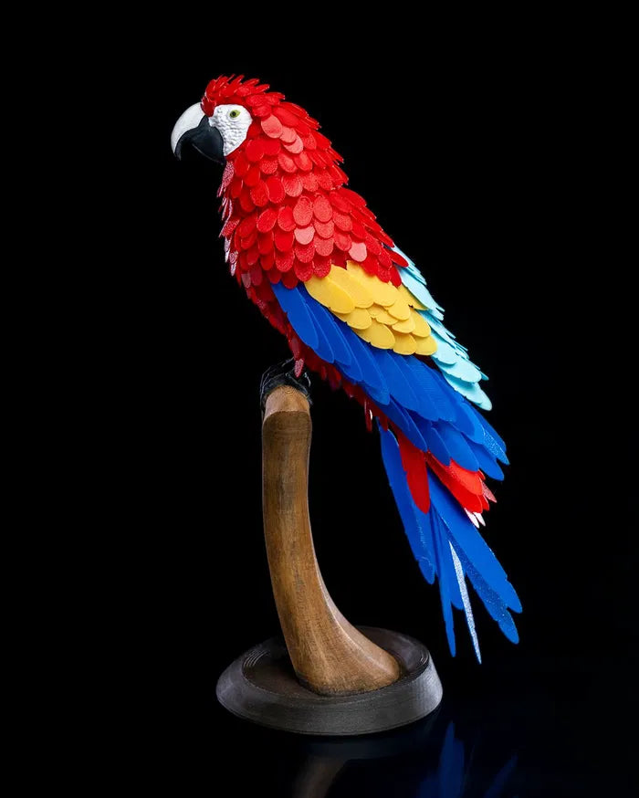 Puzzle Parrot