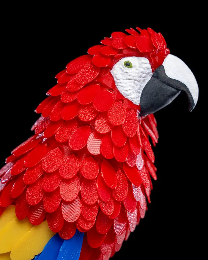 Puzzle Parrot