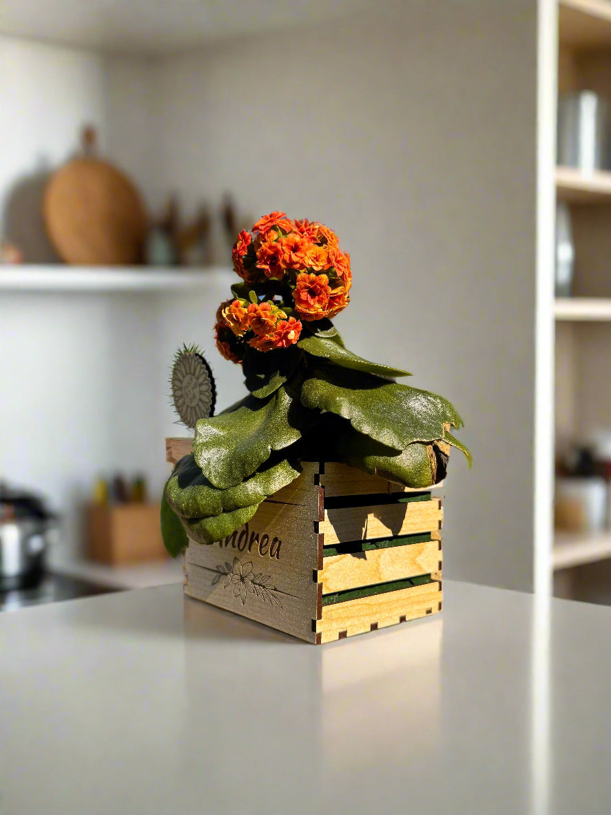 Small potted plant with orange flowers in a decorative wooden crate on a kitchen counter.