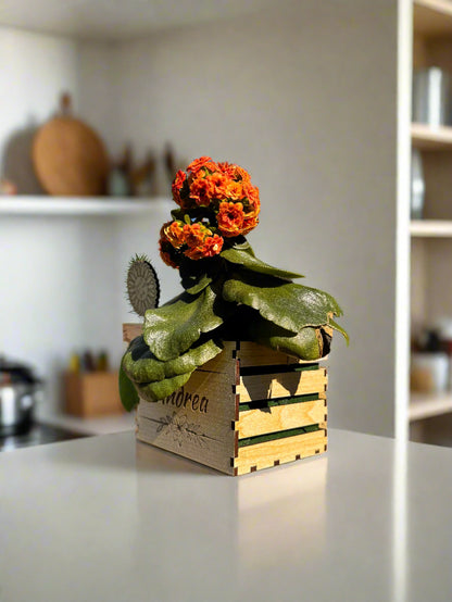 Small potted plant with orange flowers in a decorative wooden crate on a kitchen counter.