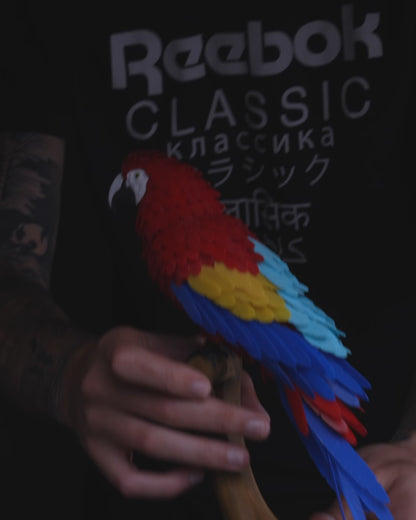 Puzzle Parrot
